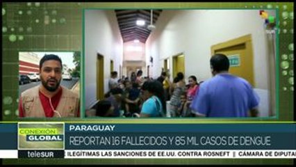 Pdte. paraguayo declara emergencia sanitaria por epidemia de dengue