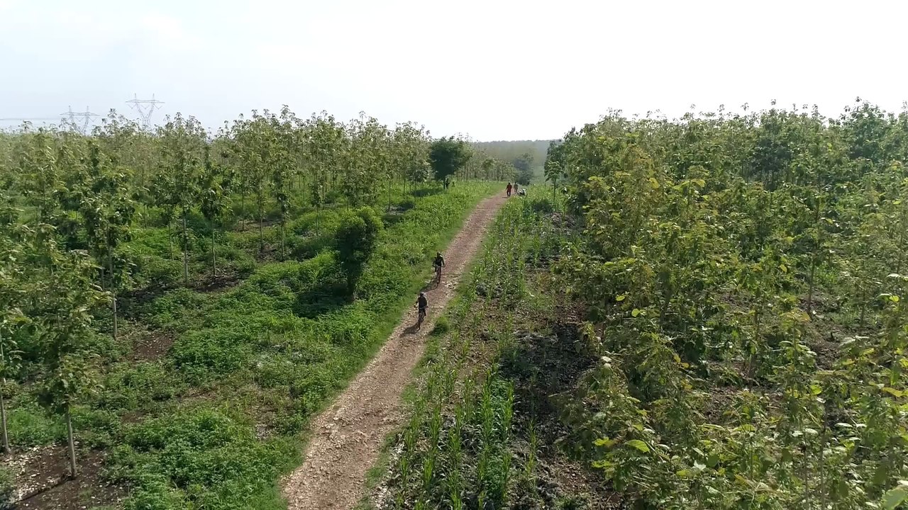Aerial View - Riding bike in the forest part 2
