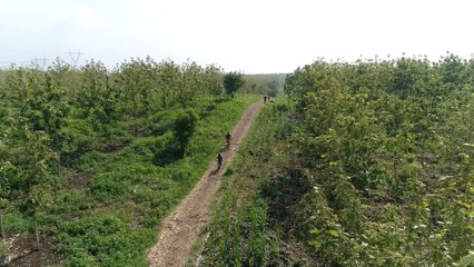 Aerial View - Riding bike in the forest part 2