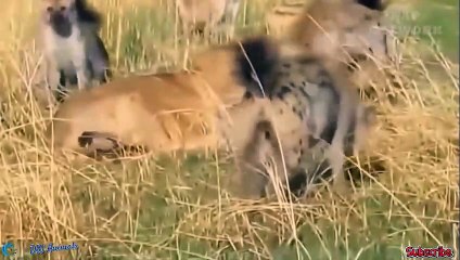 연수출장서비스 연수출장서비스O1OE2104E4640｛카톡GDS25｝ 연수출장마사지샵 연수출장안마on연수출장안마cos여3♪⇔∃마사지황형♥∩≪