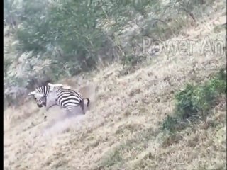 안동출장서비스 안동출장서비스O1OE2541E2560｛카톡KGB8｝ 안동출장마사지샵 안동출장안마on안동출장안마cos여3♪⇔∃마사지황형♥◫≪