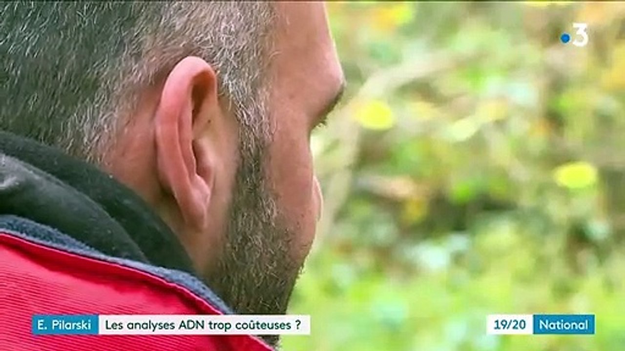 Mort d'Elisa Pilarski : trois mois après le drame, les expertises ADN toujours en attente