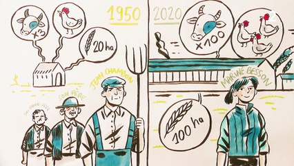 Agriculture : l'évolution des exploitations depuis plus d'un demi-siècle