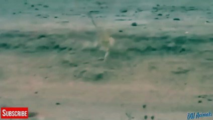 제천출장서비스 제천출장서비스O1OE6683E6402｛카톡GOO56｝ 제천출장마사지샵 제천출장안마on제천출장안마cos여3♪⇔∃마사지황형♥◉≪