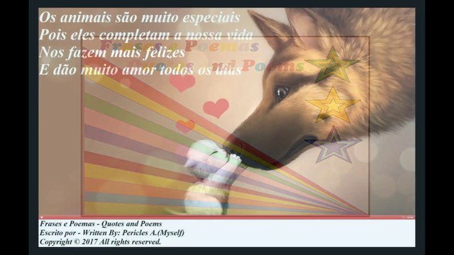 Os animais são muito especiais, nos fazem felizes e dão muito amor! [Poesia] [Frases e Poemas]