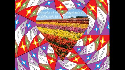 Meu amor por você é como um campo de rosas: É imenso, bonito, além de ser lindo! [Frases e Poemas]