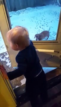 Ce bébé appelle les chiens dans sa langue bien à lui et ça marche