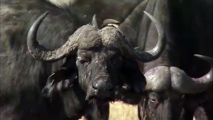 전주출장서비스 전주출장서비스O1OE2541E2560｛카톡KGB8｝ 전주출장마사지샵 전주출장안마on전주출장안마cos여3♪⇔∃마사지황형♥≠≪