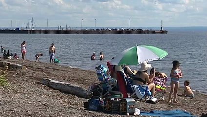 Première esquisse du nouvel aménagement du banc de Carleton