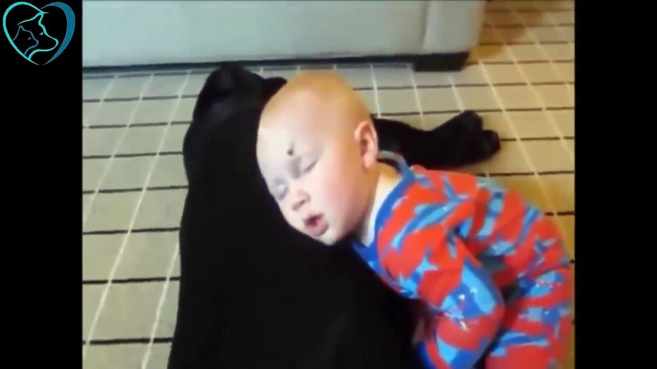 Cute Dogs Babysitting Babies Compilation #05 Dog - Love Lines Entertainment