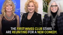 First Wives Club Stars Reunite for New Comedy