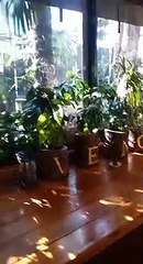 Esen Branda Tente Sistemleri