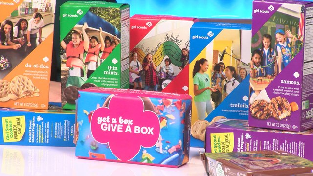 Where does money from Girl Scout Cookies go?