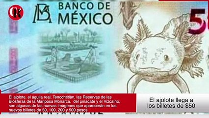 El ajolote llega a los billetes de $50