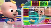 Class Pet Song - CoComelon Nursery Rhymes & Kids Songs