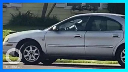 約1時間バックで回転を続けた車 ドライバーは1匹のゴールデン・レトリバーだった - トモニュース