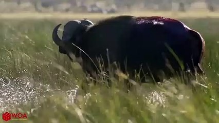 안동추천업소【OI0↔29O8↔68O③】안동추천업소예약♥∝≪