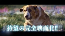 映画『野性の呼び声』三浦雄一郎さんが語る特別映像 ６０秒  ２月２８日（金）公開
