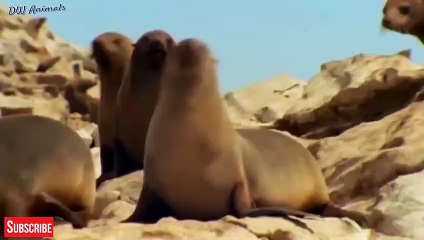 고성추천업소【OI0↔29O8↔68O③】고성추천업소예약♥◤≪