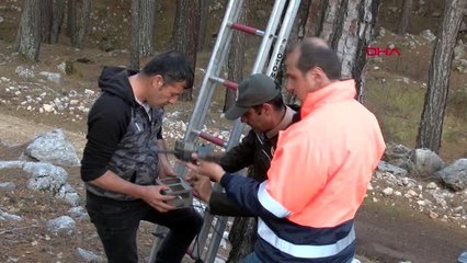 Antalya kemer ormanlarına fotokapanlı koruma