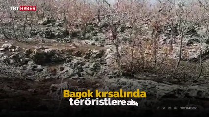 Mardin'de 2 terör sığınağı imha edildi