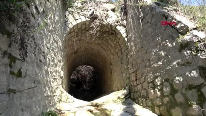 Aydın tarihi demir yolunun turizme kazandırılmasını istiyorlar