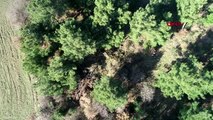 Çanakkale arkeoloji öğrencisinin ormanda bulduğu lahit, koruma altına alındı