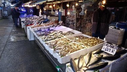 Karadeniz'de palamut geri döndü