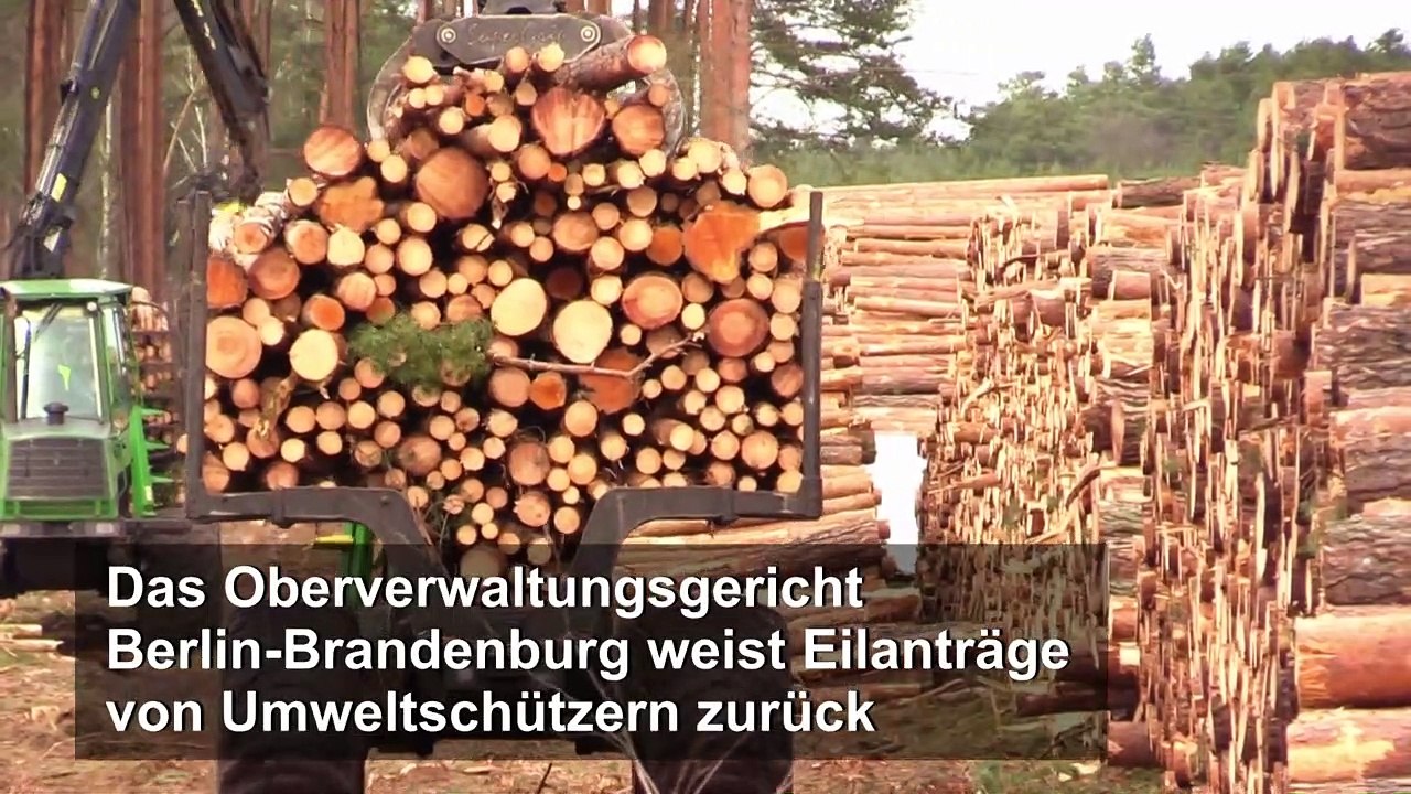 Tesla darf Rodungsarbeiten bei Berlin fortsetzen