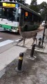 Au Japon, un cerf attend patiemment son tour au passage piéton