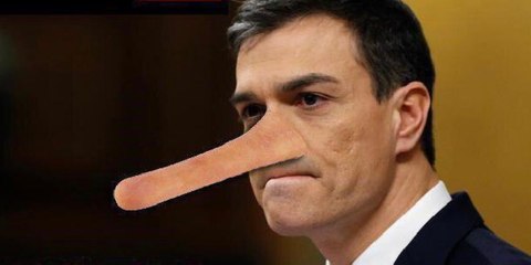 Pedro Sánchez ‘Pinocho’: ‘los españoles merecen un Gobierno que no les mienta’