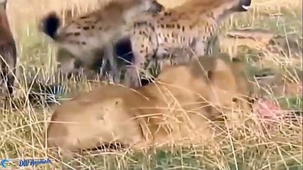 거제출장서비스 거제출장서비스O1Og2154g6609｛카톡MBN74｝ 거제출장마사지샵 거제출장안마on거제출장안마cos여3♪⇔∃마사지황형♥◀≪