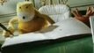 Mr. Oizo - Flat Beat (Flat Eric Video)