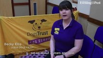 Leeds Dogs Trust training