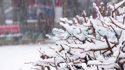 DEBORE NE JUGLINDJE E NE VERI, VESHTIRESI ME QARKULLIMIN E MJETEVE  - News, Lajme - Kanali 7