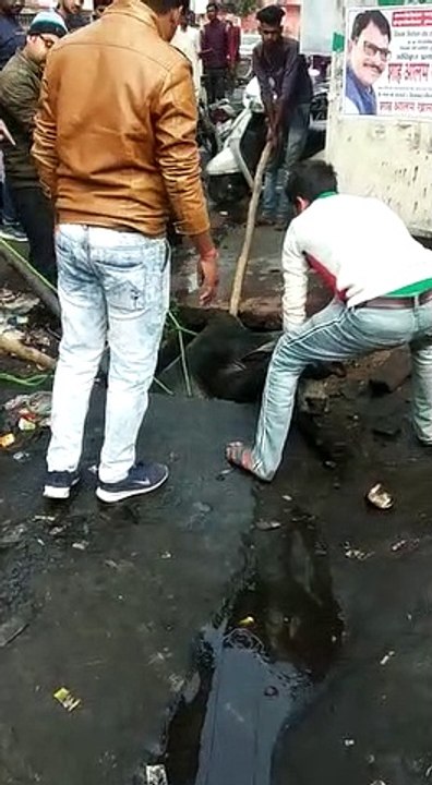 सीतापुर: पशु सेवा सीमित ने बचाई गौवंश की जान