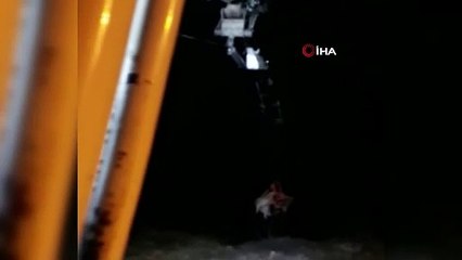 Uçurumda ağaca asılı kalan inek kurtarıldı