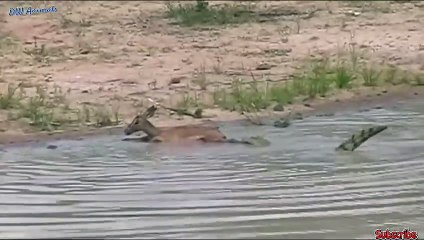 화순추천업소【OI0↔29O8↔68O③】화순추천업소예약♥⊀≪