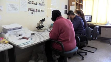 Prof. Dr. Gökhan Halıcı: "İklim değişikliği Antarktika'yı yeşillendiriyor"