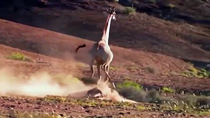 포천출장서비스 포천출장서비스O1Og2154g6609｛카톡MBN74｝ 포천출장마사지샵 포천출장안마on포천출장안마cos여3♪⇔∃마사지황형♥◤≪