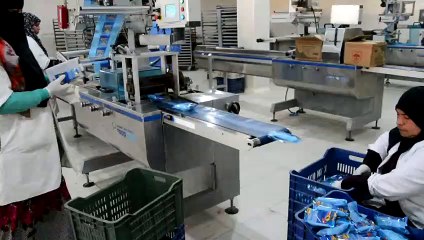 محافظ المنيا يتفقد عددا من المشروعات الإنتاجية لبحث تطويرها ورفع كفاءتها