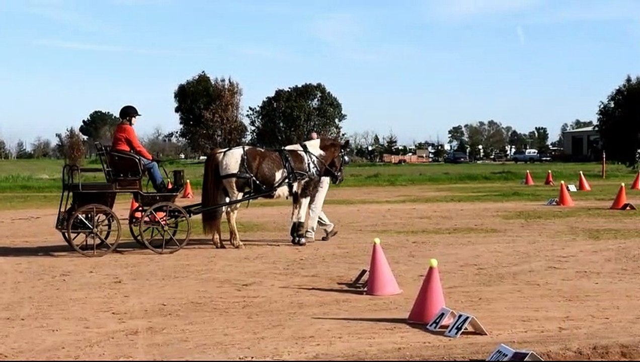 Training with Scott Monroe