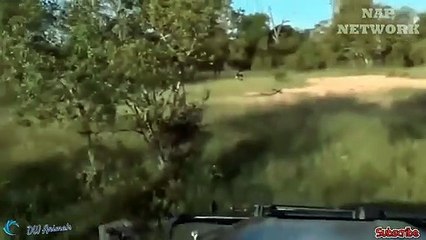 성주출장서비스 성주출장서비스O1OE2908E6803｛카톡ABC23｝ 성주출장마사지샵 성주출장안마on성주출장안마cos여3♪⇔∃마사지황형♥⊃≪