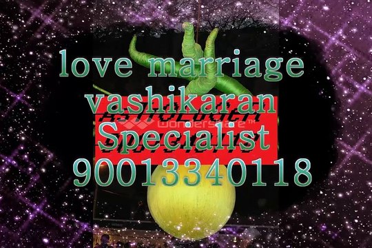 Girl vashikaran specialist baba ji mUmbAi (91) 9001340118^//*hUsbANd wIFe PROblEM SolUTion bAbA jI,Patna