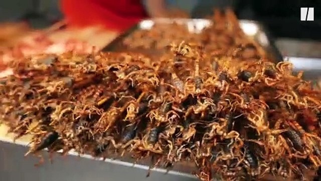 5 inconnues sur la consommation d'insectes