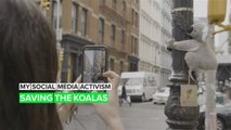 The story behind the 'wild' toy koalas taking over New York City