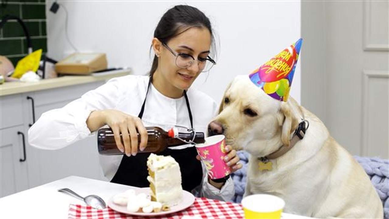 Der perfekte drink für deinen vierbeiner