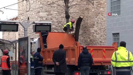 Gülhane'de ağaç devrilmesi nedeniyle tramvay seferleri aksadı