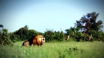 군산출장서비스 군산출장서비스O1Og4832g2166｛카톡MGM85｝ 군산출장마사지샵 군산출장안마on군산출장안마cos여3♪⇔∃마사지황형♥⊅≪