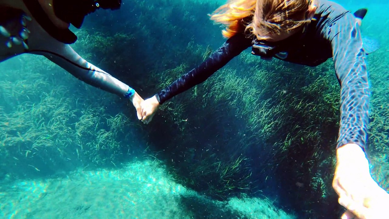 Freediving-with-Tiger-Sharks